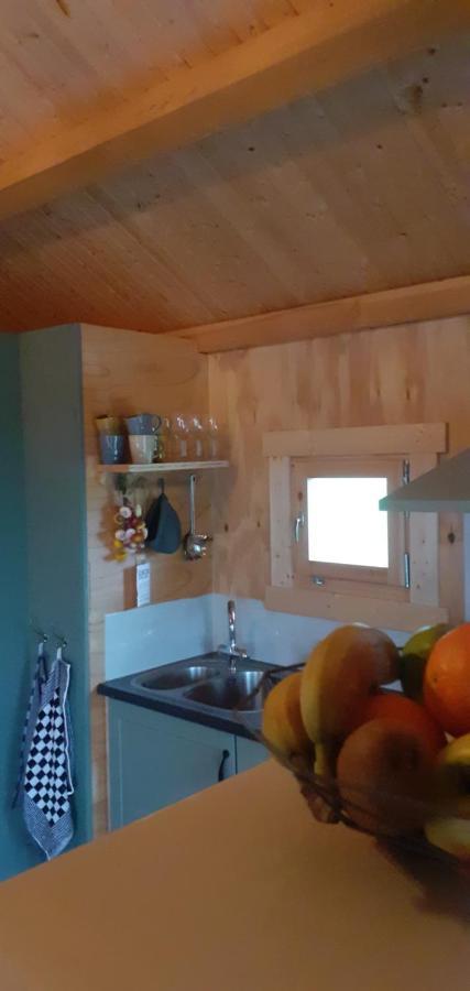 Grutto Chalet Tjerkgaast